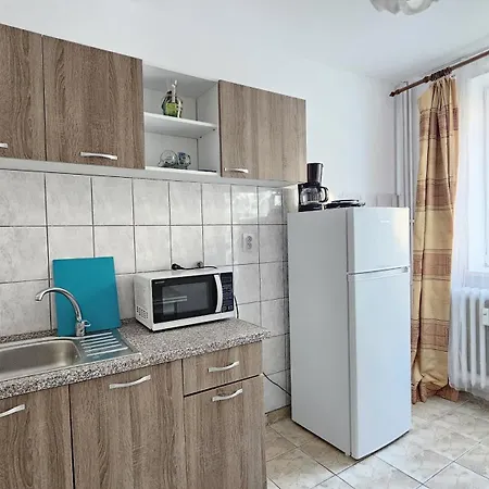 Central Apartament *